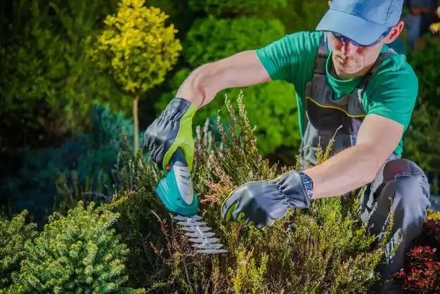 landscaping services West Valley